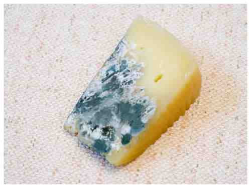 Est-ce grave de manger du fromage périmé ?