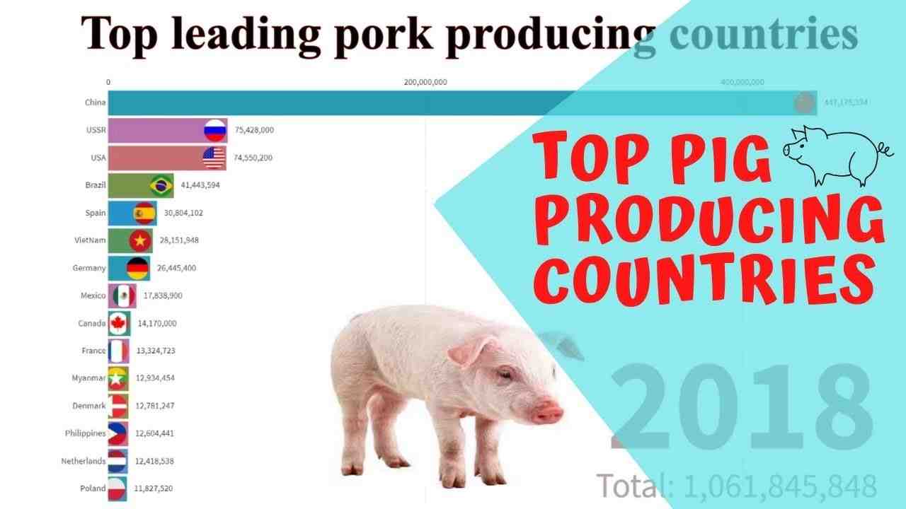 Quel pays est le plus grand consommateur de viande ?