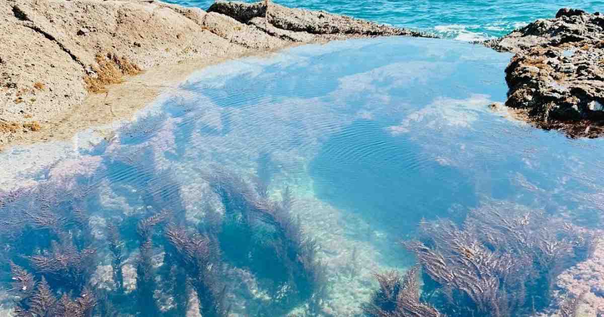 Pourquoi la mer Méditerranée est plus salée que l'Atlantique ?